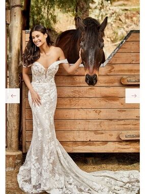 Madison James Ivory Lace Mermaid Wedding Dress & Cathedral Veil